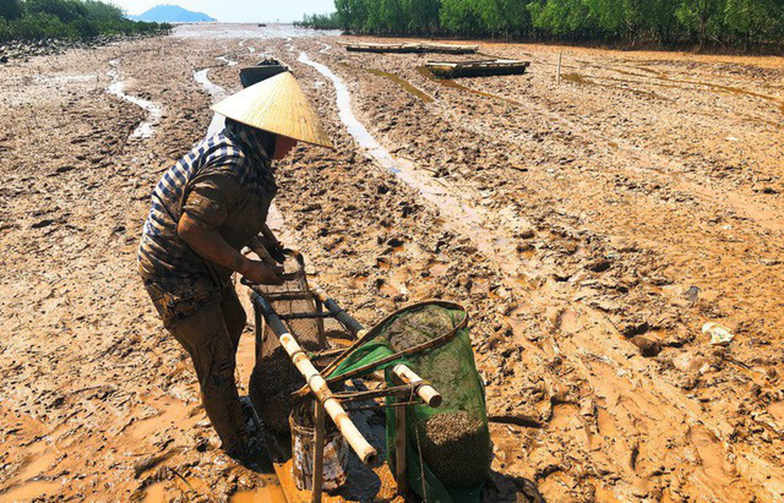 Kinh[-]hoàng[-]biển…[-]rác[-]ở[-]Hậu[-]Lộc,[-]Thanh[-]Hóa